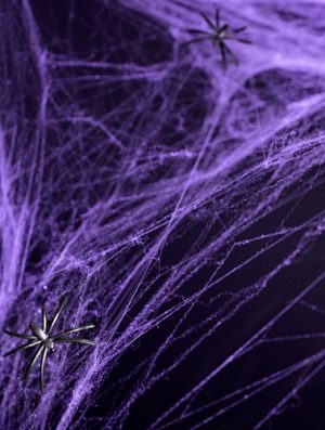 Tela araña para decorar violeta